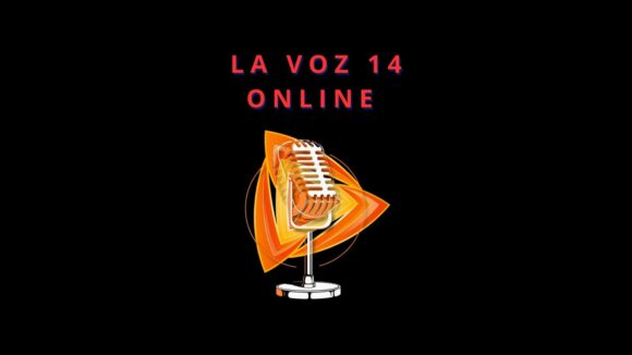 La Voz 14 Online